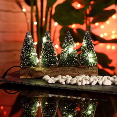 Pins verts avec base en bois