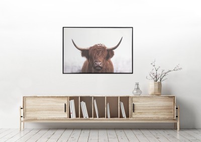 Encadré sur toile Bétail des Highlands
