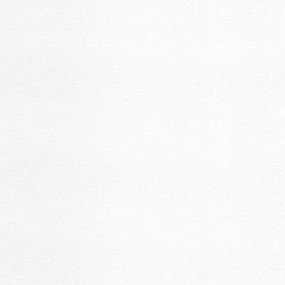 Papier peint | Ivoire