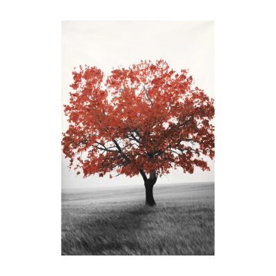 Red - Yellow Tree Canvas