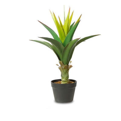 Agave de plante artificielle