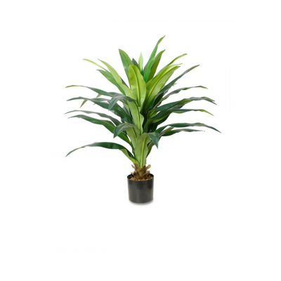 Plante verte artificielle de Dracaena