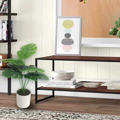Plante Monstera 50x56"| pot blanc 