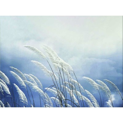 Lauren Taylor - Pampas dans le ciel venteux