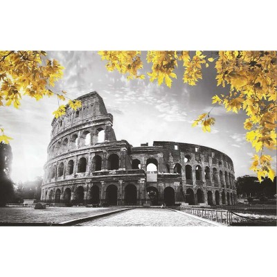 Colosseum 70x110