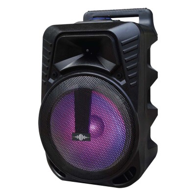 WATTSON - 10" Rechargeable speaker