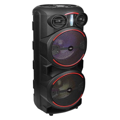 WATTSON - Rechargeable speaker 2x10''