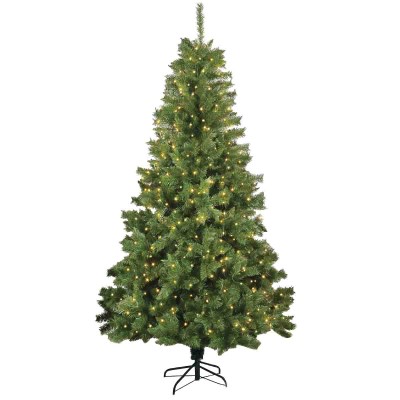 1.98m Prelit Noble Pine Tree 300 Warm White Microdot Tape