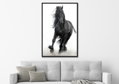 Black Stallion Framed Canvas 75*115