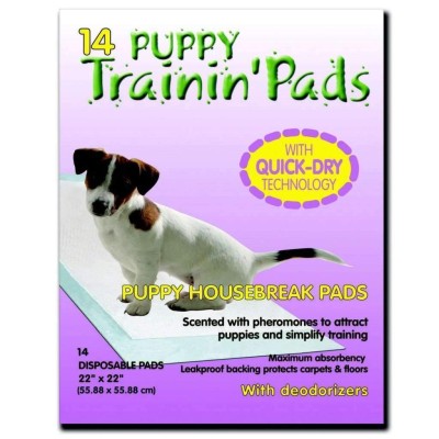 Tapis d'entraînement pour chiots 14