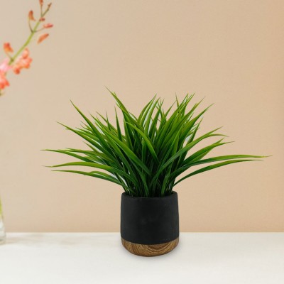 Grass Cement Blk Pot Wood Base 30.5x30.5