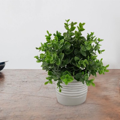 Grass Cement Pot White Grey Stripe 24x25