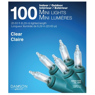 100 mini lampes à incandescence extérieures