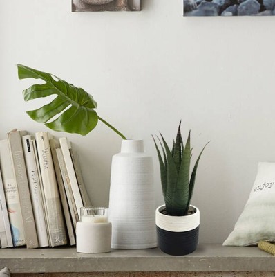 Succulent Cement Pot Black and White
