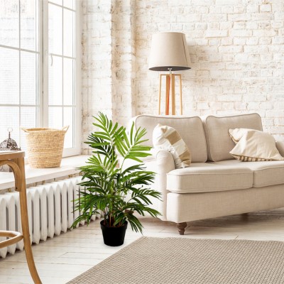Areca Palm Tree 80cm-18cm Pot