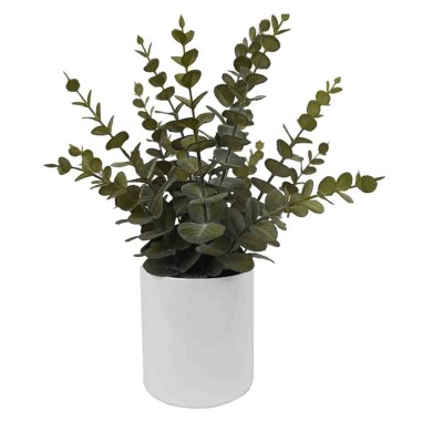 Plante d'Eucalyptus Artificiel dans un pot en céramique blanche