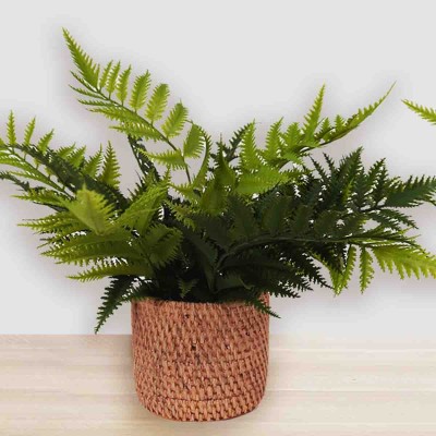 Fougère Artificielle Pot Ciment Marron