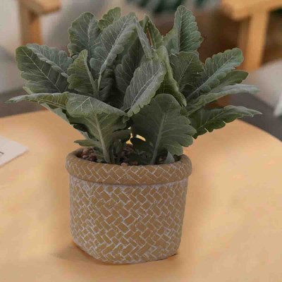 Oreille d'agneau artificielle dans un pot en ciment beige