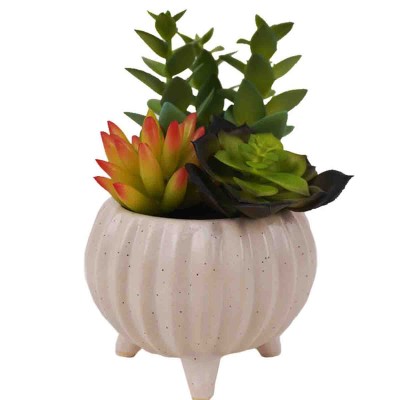 Plantes Succulentes Artificielles dans un Pot à Pieds en Céramique Blanche
