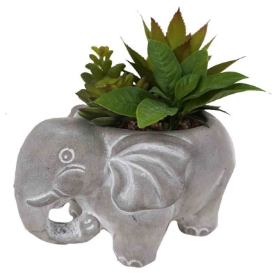 Artificial Succulents Plants in Elephant Pot & White Pot