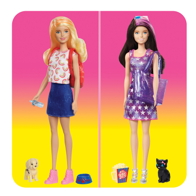 Barbie Color Reveal Dog Park Movie Night