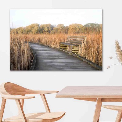 Toile Chemin forestier avec banc