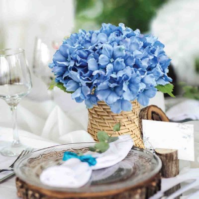 Hortensia bleu 8x9.5in