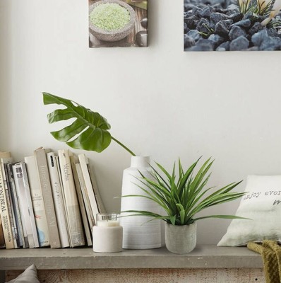 Grass Plant Cement Pot