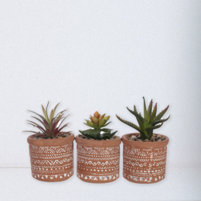 Succulentes Mini pot en céramique aztèque