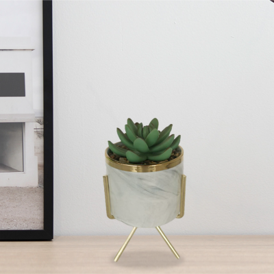 Art Succulent With Marble Pot & Gold Stand