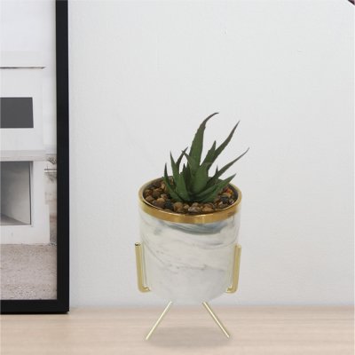 Art Succulent Marble Pot & Gold Stand