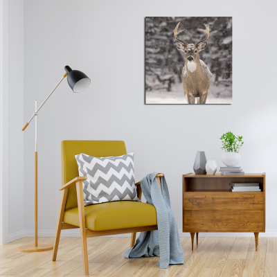 Canvas 45x45 Winter Wildlife