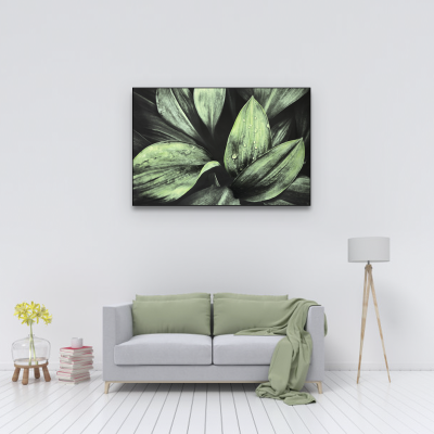  Leaf greenery Canvas