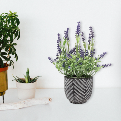 Lavender In Black/grey Cement Pot 16*24