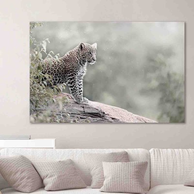 Toile Guépard sur rocher