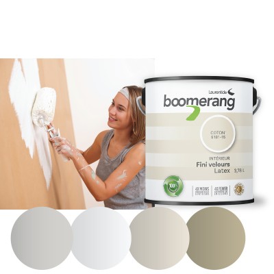 Boomerang 1 Gallon Paint