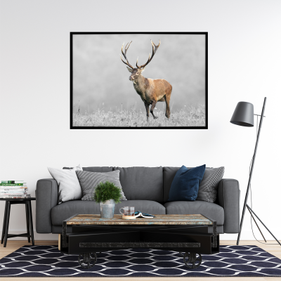 Canvas Framed 75x115