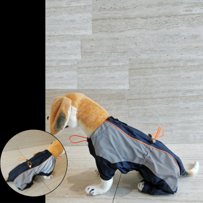 Paws & Whiskers - Gray Dog Coat