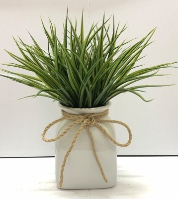 Greens In White Pot W/jute 