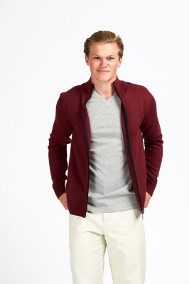 Hommes Swetaer Polyester / Asst / Asst