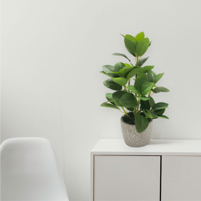 Plant In Textured Cement Pot 26*41