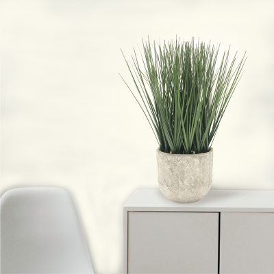 Tall Grass In Cement Leaf Pot 12.5*33