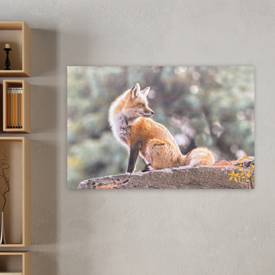 Toile imprimée renard