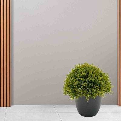 LAUREN TAYLOR - Grass Black Plastic Pot
