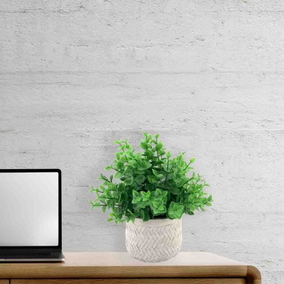 LAUREN TAYLOR - Herbe dans un pot en os de hareng Vintage White
