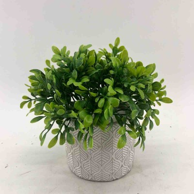 Grass In Cement Leaf Design Pot 