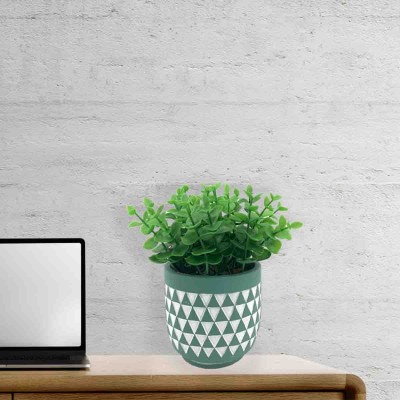 LAUREN TAYLOR - Herbe dans un pot en ciment Triangle Teal