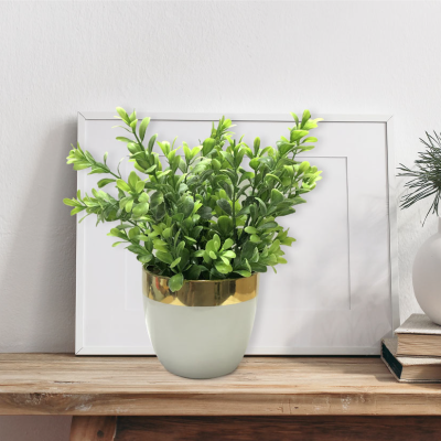 Greens In White Gold Rim Ceramic Pot 22*22