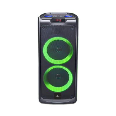 Double Haut-Parleur 8IN Rechargeable