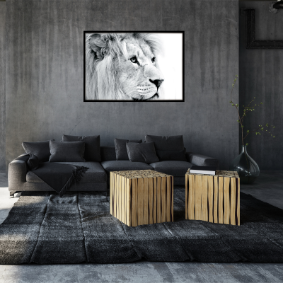 Canvas Framed 75x115 Lion Head